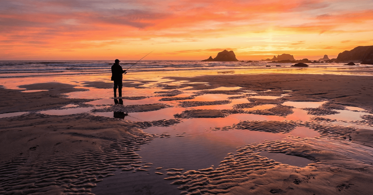 潮汐规律入门：新手赶海必须知道的潮汐知识