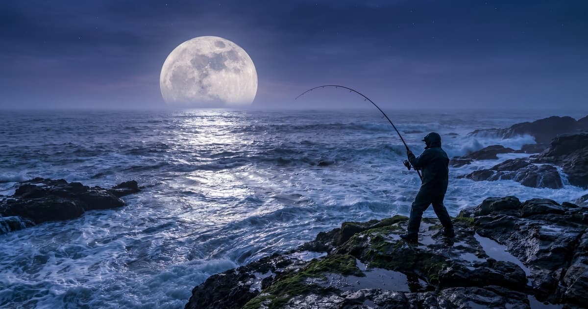 潮汐与月相完全解读：农历初一十五为什么潮最大