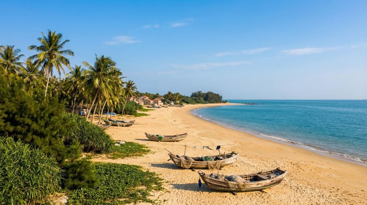 广东十大赶海地点推荐