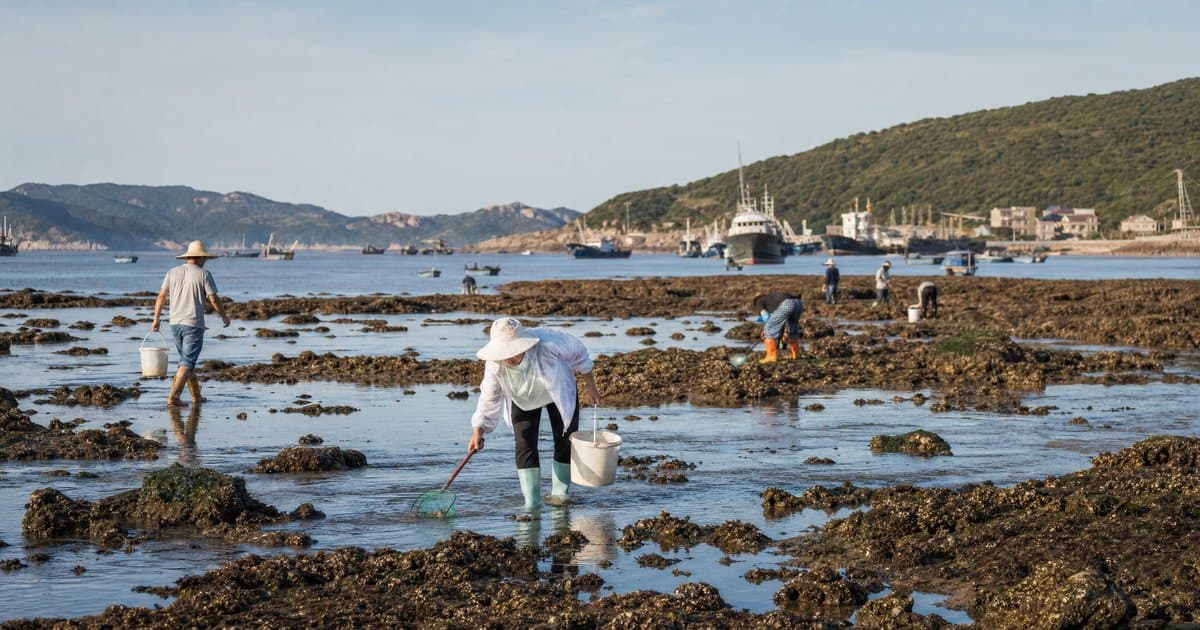 宁波赶海攻略：象山到石浦沿线最佳赶海地点推荐