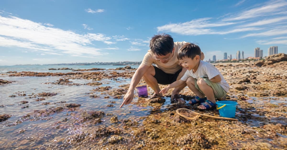 青岛带娃赶海全攻略：三个适合亲子的滩涂与潮时
