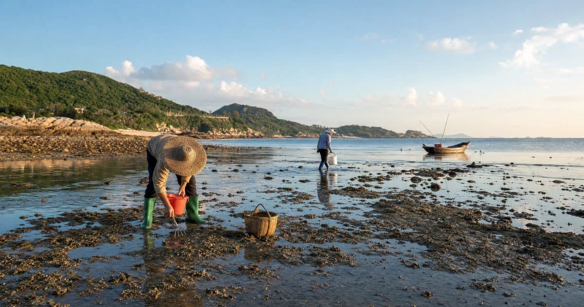 汕头赶海攻略：南澳岛到海门湾的赶海地点大全