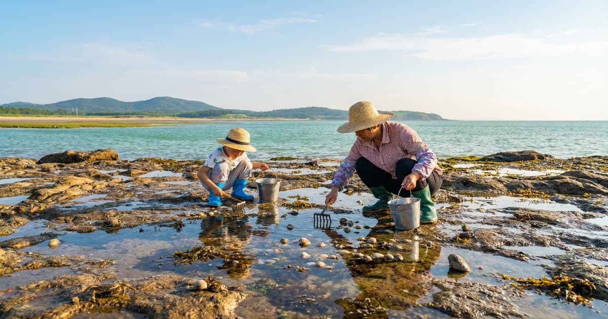 威海荣成赶海指南：天鹅湖畔的赶海秘境