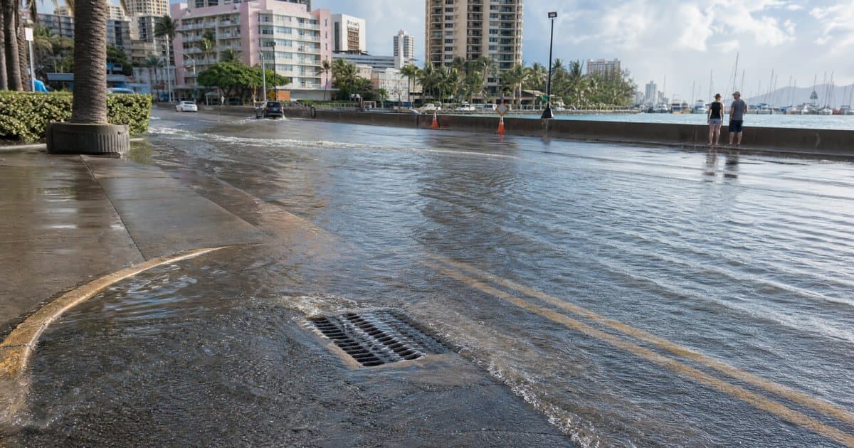 潮汐对沿海城市排水的影响:为什么涨潮时城市容易内涝