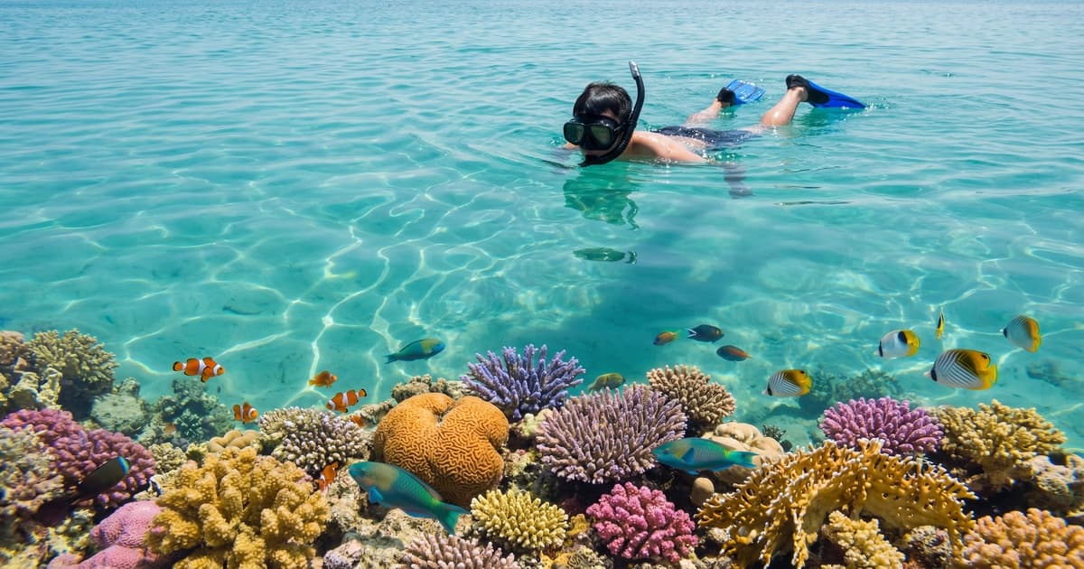 浮潜看珊瑚要看潮汐吗?潮位对浮潜体验的影响