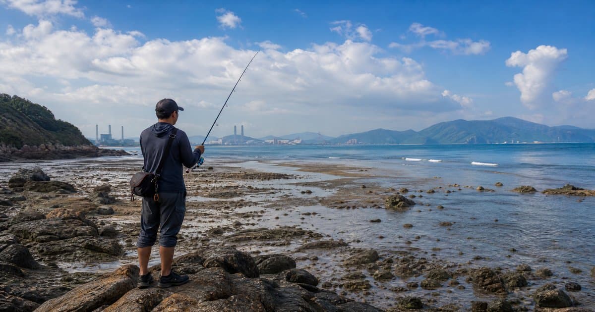 深圳潮汐表怎么看:赤湾站数据与大鹏半岛的潮时差
